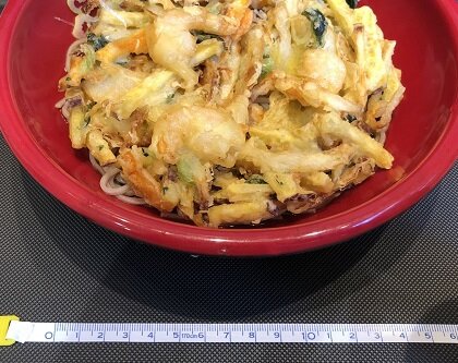 富士そば秋葉原電気街店_DX大判